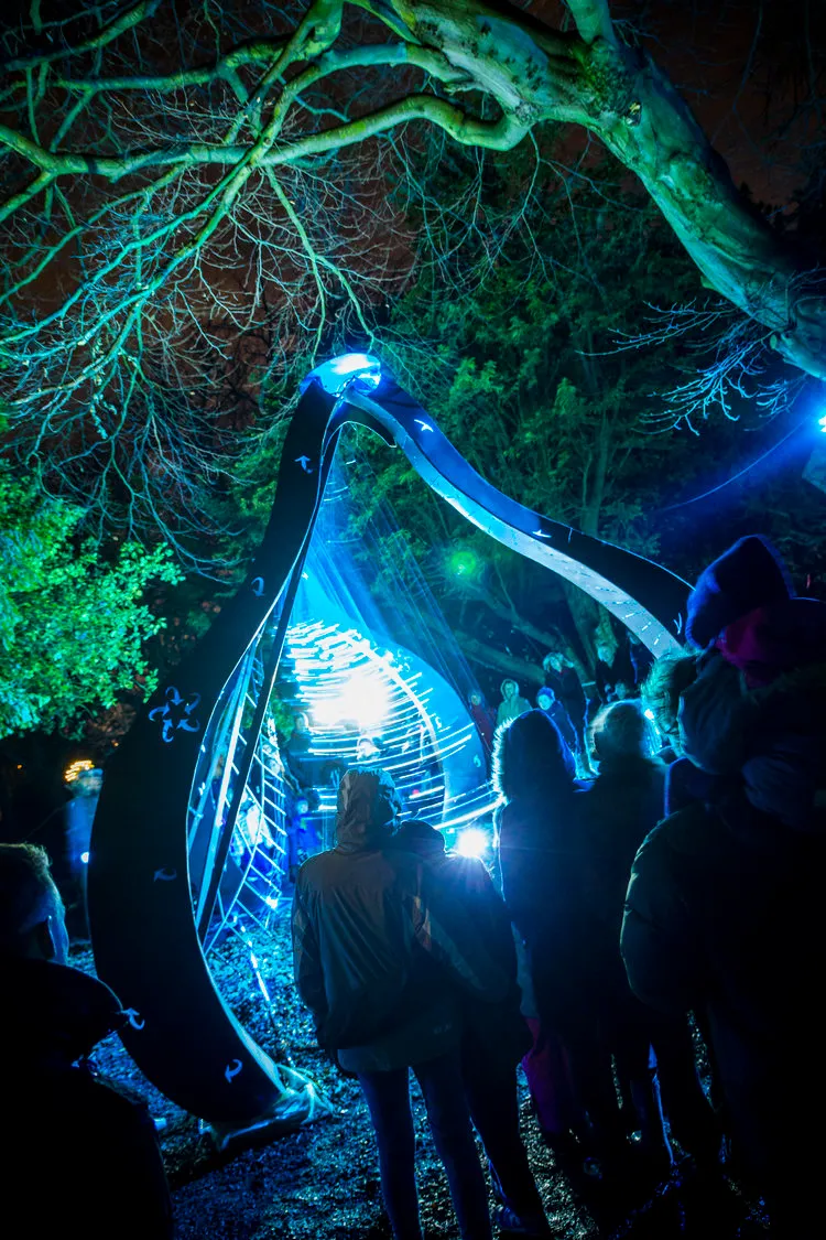 Audience gathered around an installation at night